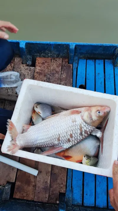 bến cho thuê xuồng câu cá đen mỹ hòa hưng - dịch vụ thuê thuyền câu cá