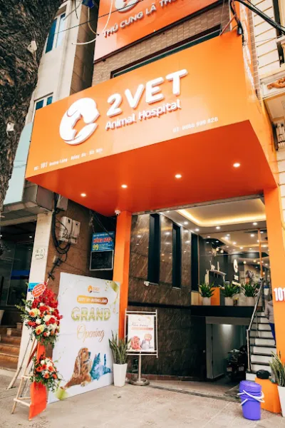 bệnh viện thú y 2vet - bệnh viện thú y