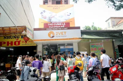 bệnh viện thú y 2vet - nghệ an - bệnh viện thú y