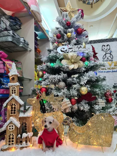 bệnh viện thú y pet vet 3 - bệnh viện thú y