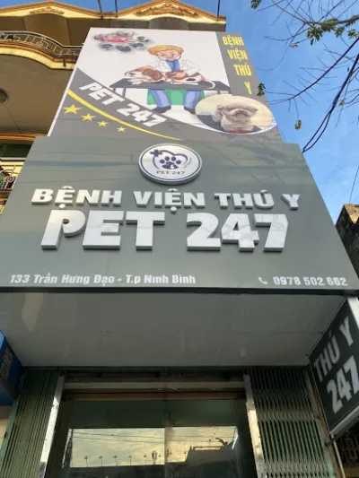 bệnh viện thú y pet247 - bệnh viện thú y