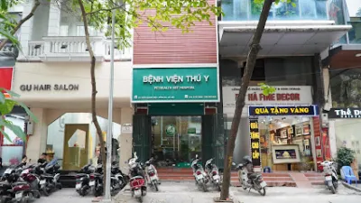 bệnh viện thú y pethealth đống đa - bệnh viện thú y bệnh viện thú y pethealth đống đa - bệnh viện thú y