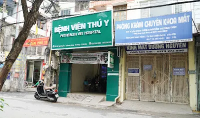 bệnh viện thú y pethealth hà đông - bệnh viện thú y bệnh viện thú y pethealth hà đông - bệnh viện thú y