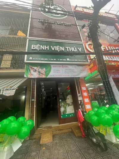 bệnh viện thú y pethealth nam định - bệnh viện thú y