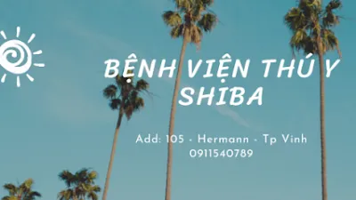 bệnh viện thú y shiba - bệnh viện thú y