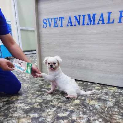 bệnh viện thú y svet thái nguyên - bệnh viện thú y