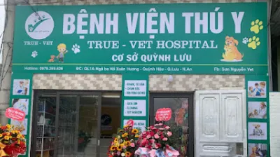 bệnh viện thú y true-vet quỳnh lưu - bệnh viện thú y bệnh viện thú y true-vet quỳnh lưu - bệnh viện thú y