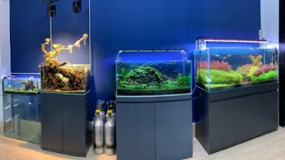 bun aqua coffee - thuỷ sinh, bán cạn, cá cảnh biển - quán cà phê