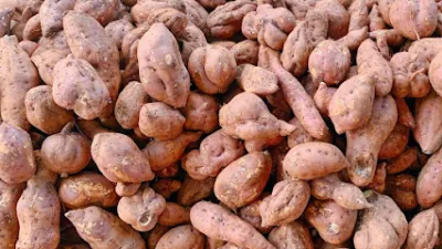 buôn bán sỉ và lẻ nông sản sạch - chợ bán buôn nông sản