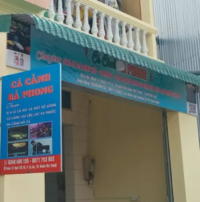 cá cảnh bá phong đăklăk - cửa hàng cá cảnh bá phong đăklăk - cửa hàng