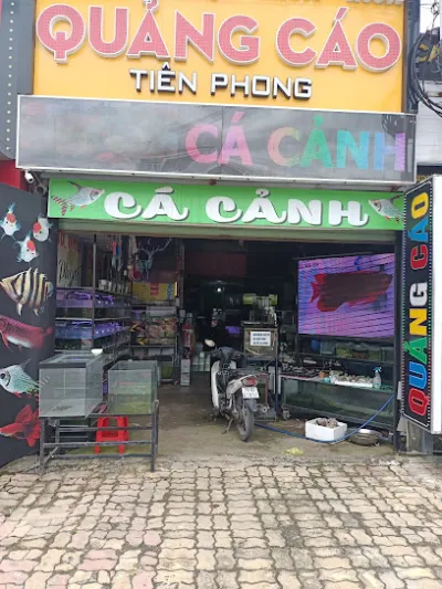 cá cảnh bình dương - đồ câu cá. - cửa hàng cá