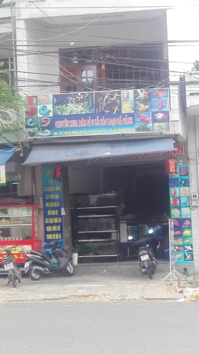 cá cảnh cường cận - cửa hàng đồ cá cảnh