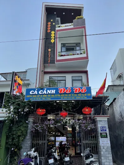 cá cảnh đô đô - cửa hàng tạp phẩm