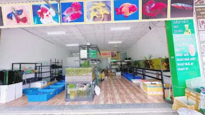 cá cảnh dương võ - cửa hàng cá cảnh