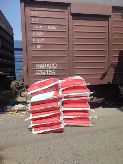 cá cảnh giá rẻ - cửa hàng đồ cá cảnh