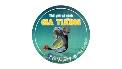 cá cảnh gia tường - cửa hàng vật nuôi