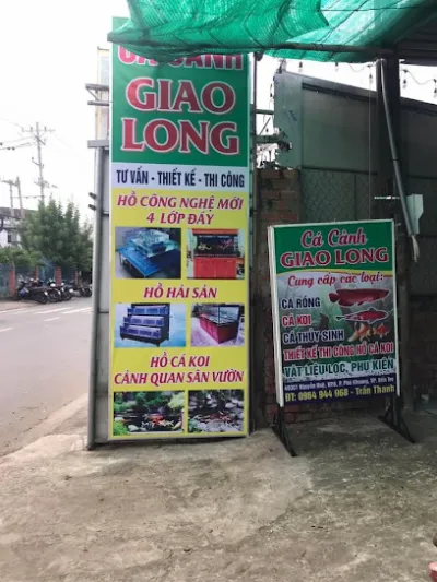 cá cảnh giao long - cửa hàng cá cảnh