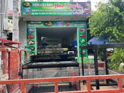 cá cảnh hoà nguyễn - cửa hàng cá cảnh