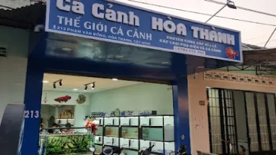 cá cảnh hòa thành tây ninh - cửa hàng cá cảnh cá cảnh hòa thành tây ninh - cửa hàng cá cảnh
