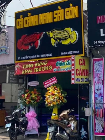 cá cảnh nam sài gòn | tiệm cá cảnh gần đây | tiệm cá cảnh quận 7 | phụ kiện cá cảnh tphcm - cửa hàng cá cảnh
