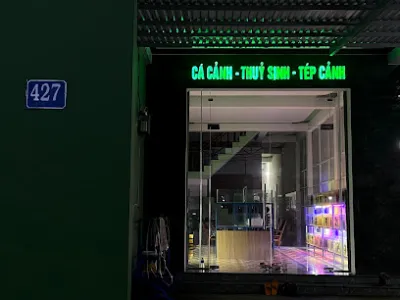 cá cảnh nghĩa - cửa hàng cá cảnh