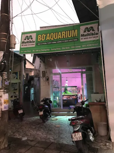 cá cảnh phú quốc - bơ house aquarium - cửa hàng cá cảnh