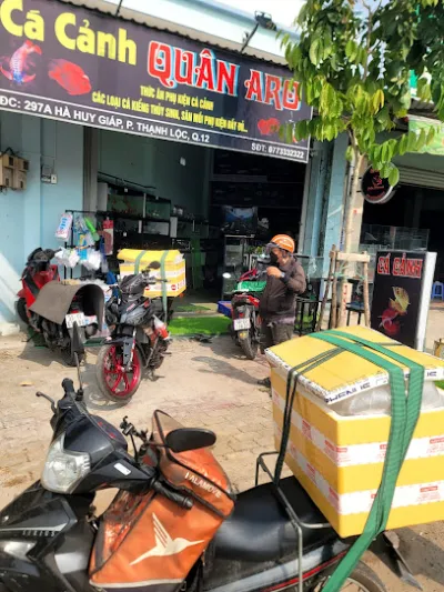 cá cảnh quân aro - cửa hàng cá cảnh
