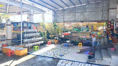 cá cảnh quốc huy - cửa hàng