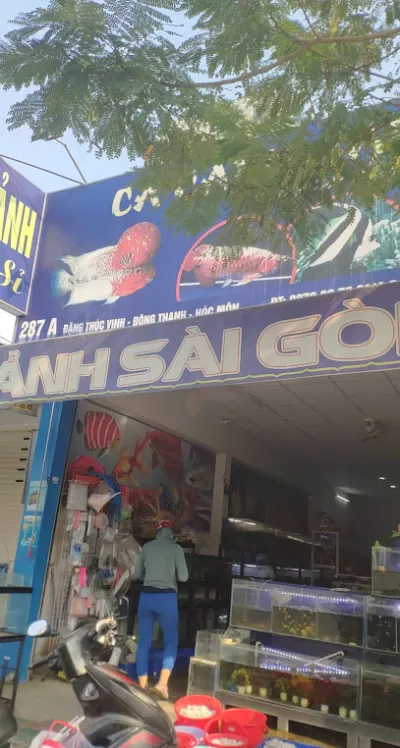 cá cảnh sài gòn - cửa hàng cá cảnh