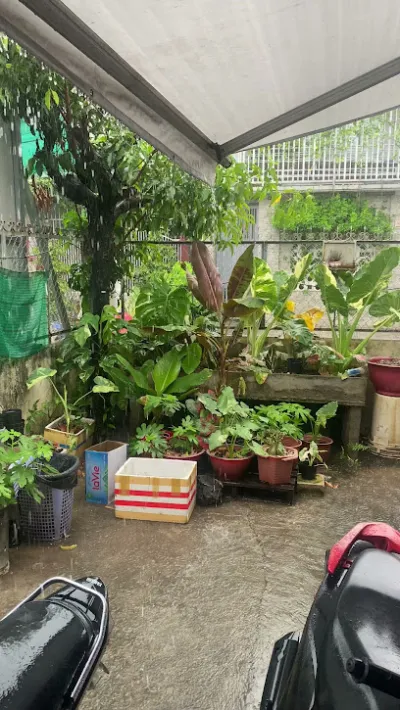 cá cảnh, thuỷ sinh đại huỳnh biên hoà đồng nai - cửa hàng tạp phẩm