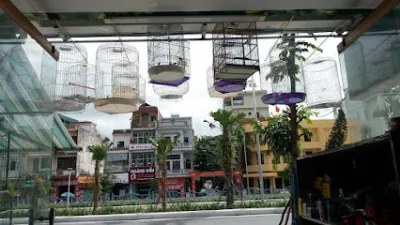 cá cảnh tuấn nguyên - cửa hàng cá cảnh