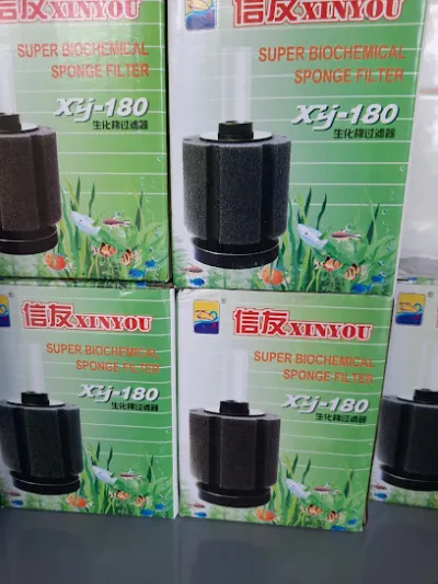 cá cảnh tùng betta - cửa hàng vật nuôi