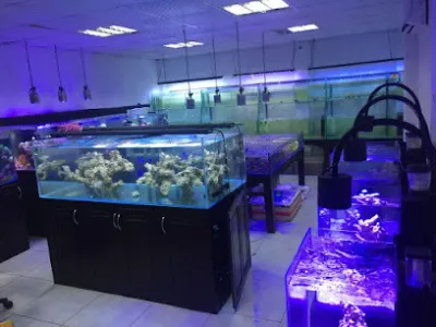 cá cảnh vietnam aqua - cửa hàng vật nuôi