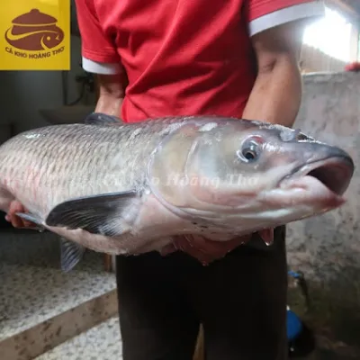 cá kho làng vũ đại - hoàng thơ - nhà hàng