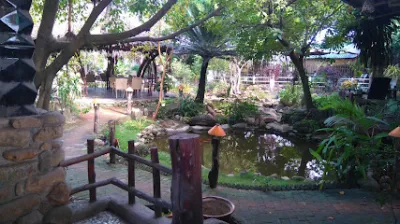 cà phê ánh dương - quán cà phê