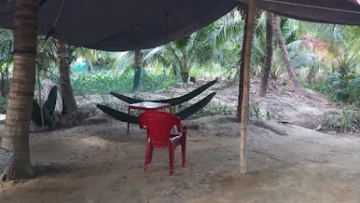 cà phê câu cá thư giãn vườn dừa - quán cà phê