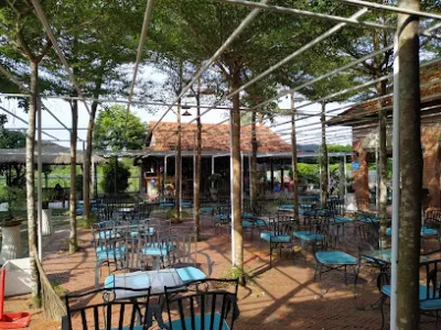 cà phê chim cảnh việt - quán cà phê