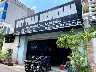 cá rồng huyết long huy thảo arowana - cửa hàng cá cảnh