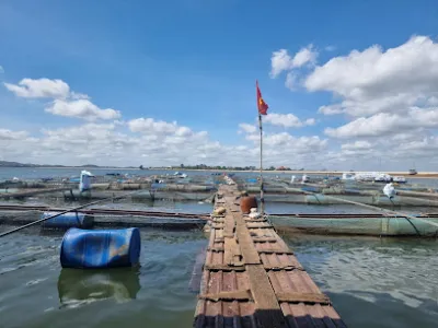 cá thịt cá giống văn sỹ - trang trại nuôi trồng thủy sản