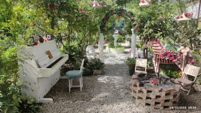 cafe triệu đoá hồng - quán cà phê