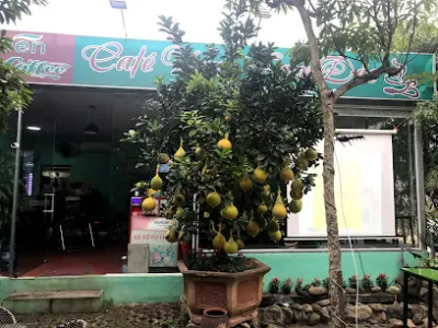 cafe xanh tam đảo - quán cà phê