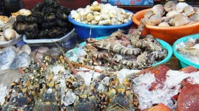 cảng cá hạ long - trung tâm cộng đồng