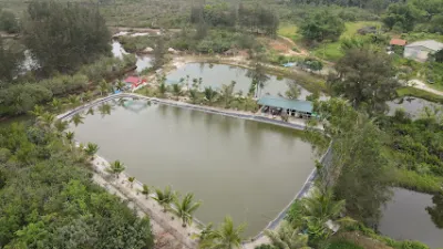 câu cá giải trí hoàng hưng - sân chơi