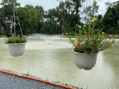 câu cá giải trí song mã - sân chơi