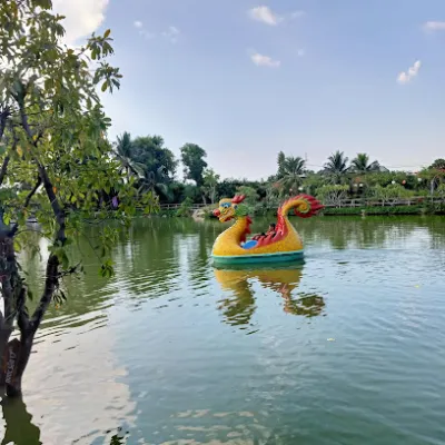 câu cá giải trí thanh thảo - văn phòng công ty