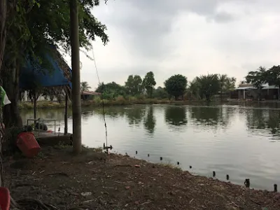 câu cá giải trí vĩnh an - khu vực câu cá