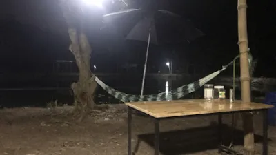 câu cá giải trí vườn nhãn - công viên giải trí