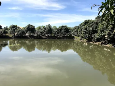 câu cá giải trí vườn xoài - trại câu cá