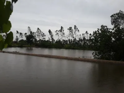 câu cá nam còi - câu lạc bộ câu cá