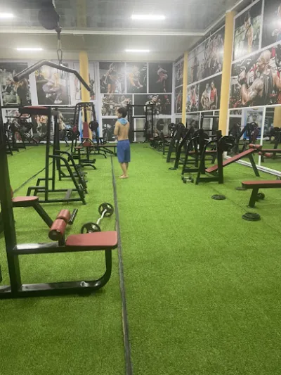 câu lạc bộ thể hình gym hd - phòng tập thể dục